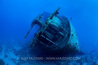 Thsitlegorm Stern. Egypt