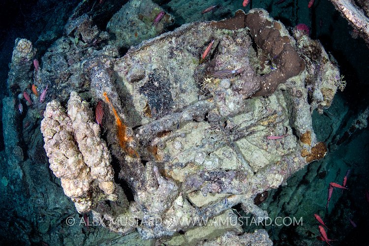 Trailer Remains. Thistlegorm. Egypt