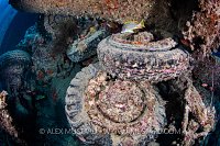 Lorry Remains. Thistlegorm. Egypt