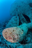 Propeller. Thistlegorm. Egypt