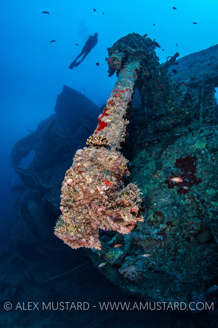 Gun & Diver. Thistlegorm. Egypt