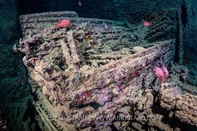 Bed Frames. Thistlegorm. Egypt