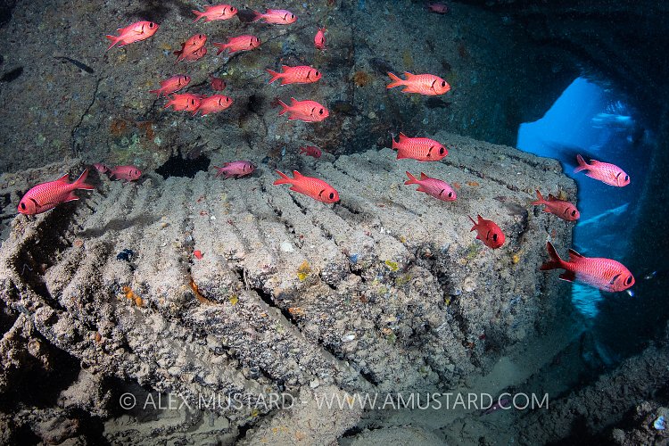Beds. Thistlegorm. Egypt