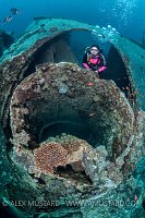 Thistlegorm Funnel. Egypt