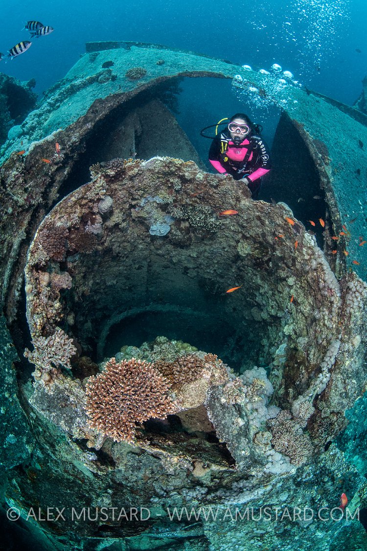 Thistlegorm Funnel. Egypt