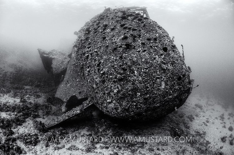 Chrisoula K Wreck. Egypt