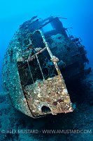 Kimon M Stern. Egypt