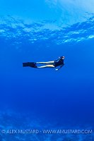 Freediver In Blue. Egypt
