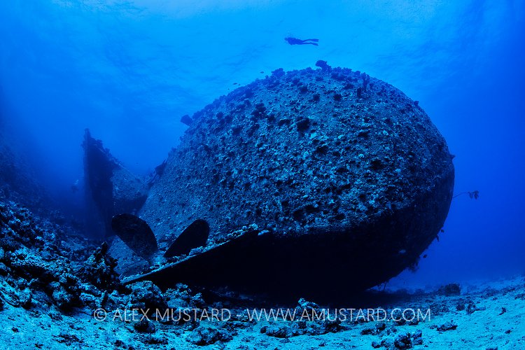 Chrisoula K Stern. Egypt