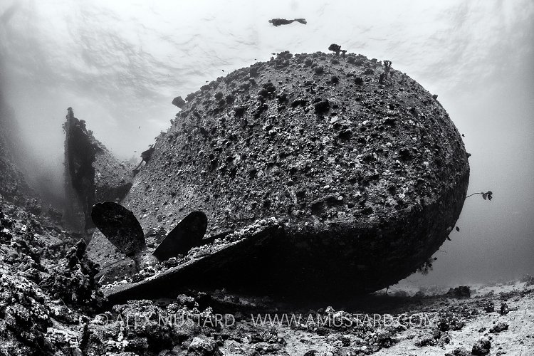 Chrisoula K Stern. Egypt