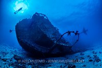 Chrisoula K Stern. Egypt