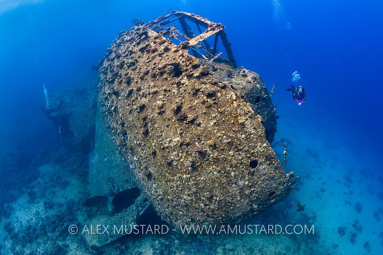 Chrisoula K Stern. Egypt