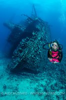 Giannis D Stern. Egypt