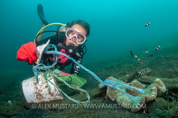 Plastic Cleanup Dive. Indonesia