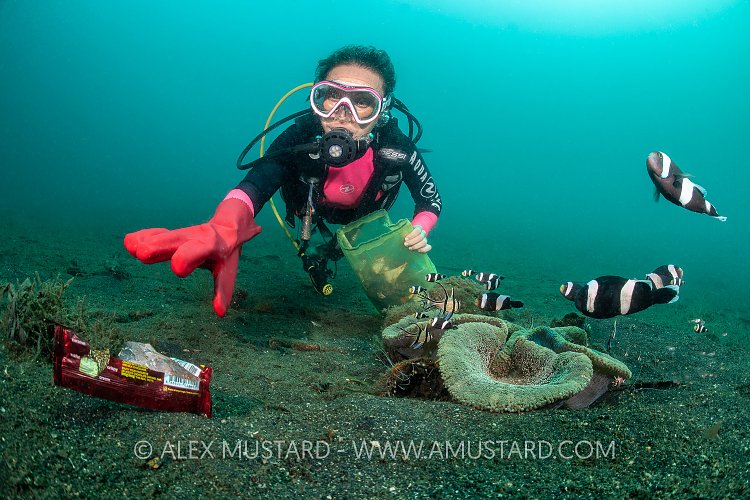 Plastic Cleanup Dive. Indonesia