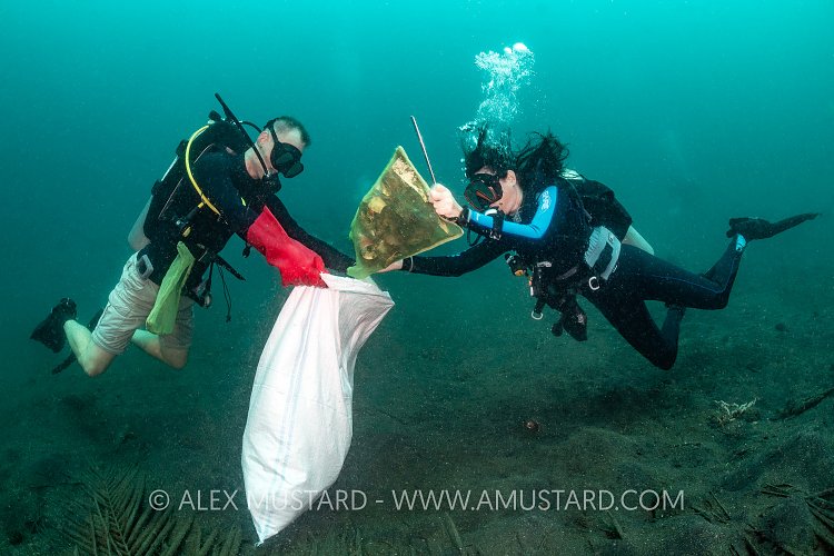Plastic Cleanup Dive. Indonesia