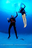 Moon Walking. Cayman Islands