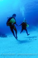 Moon Walking. Cayman Islands