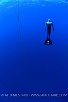 Freediver. Cayman Islands