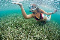 Snorkelling In the Rain. Cayman Islands