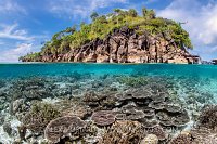Corals And Island. Indonesia