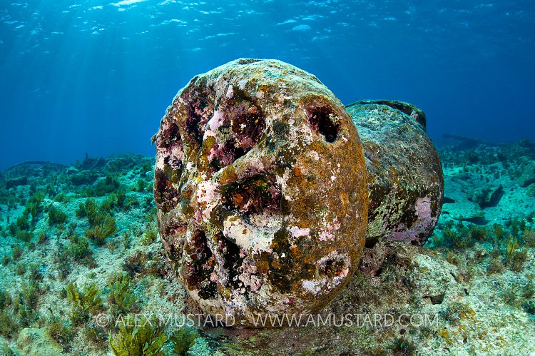 Wreckage. Grand Cayman