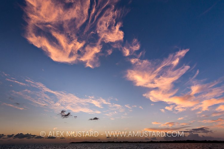 Sunset. Cayman Islands