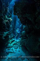 Diver In Cave. Cayman Islands