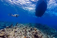 Back To Boat. Cayman Islands