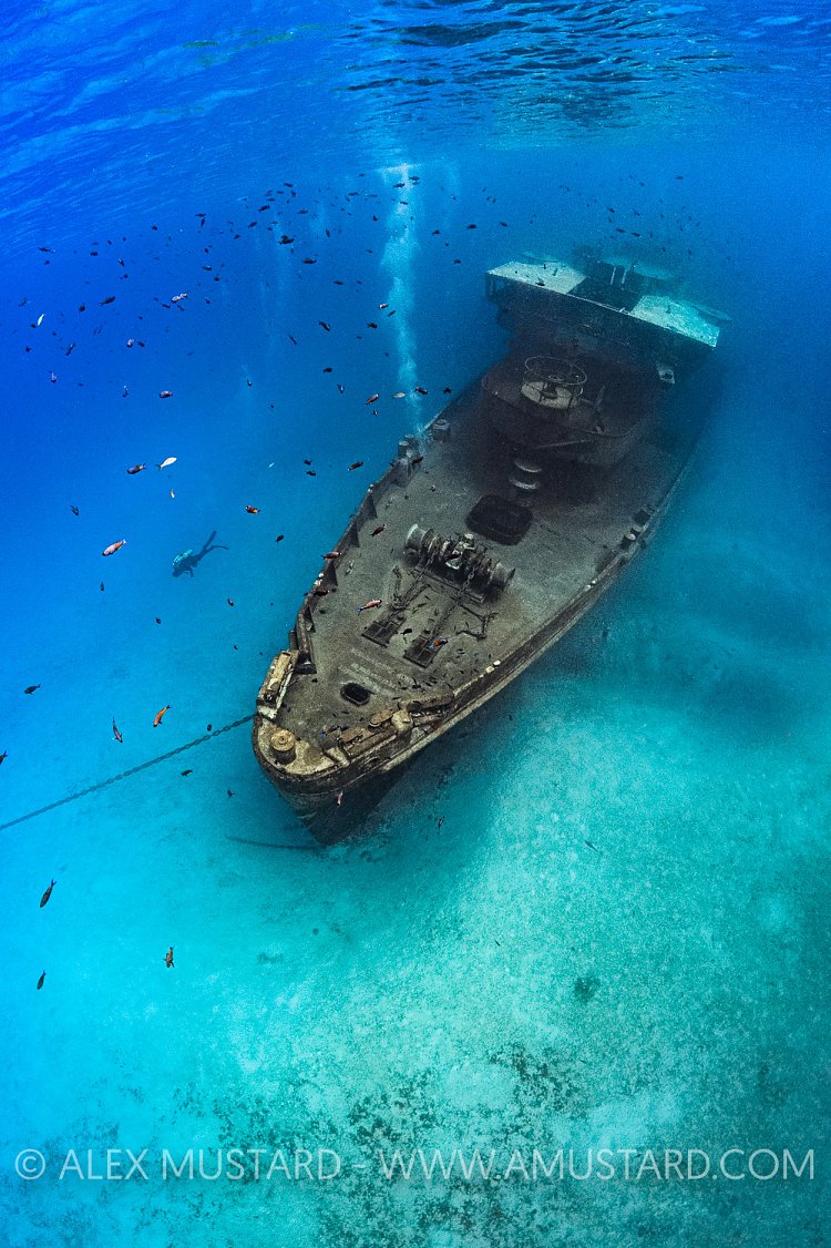 Kittiwake Bow. Cayman Islands