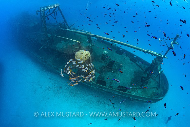 Kittiwake Stern. Cayman Islands