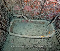 Bathroom In Thistlegorm. Egypt