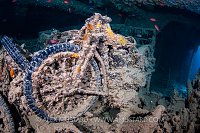 Motorbike In Wreck. Egypt