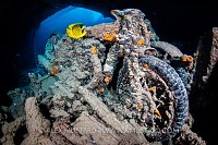 Motorbike In Wreck. Egypt