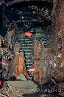 Cold Store, Thistlegorm. Egypt