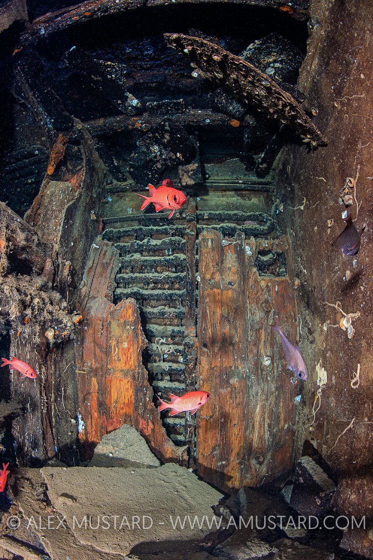 Cold Store, Thistlegorm. Egypt