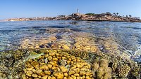 Coral Reef Split Level. Egypt