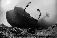 Chrisoula K Stern. Egypt