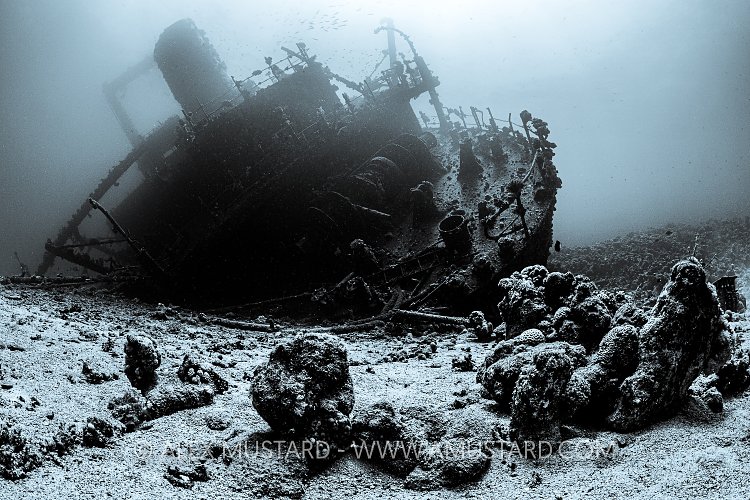 Giannis D Wreck. Egypt