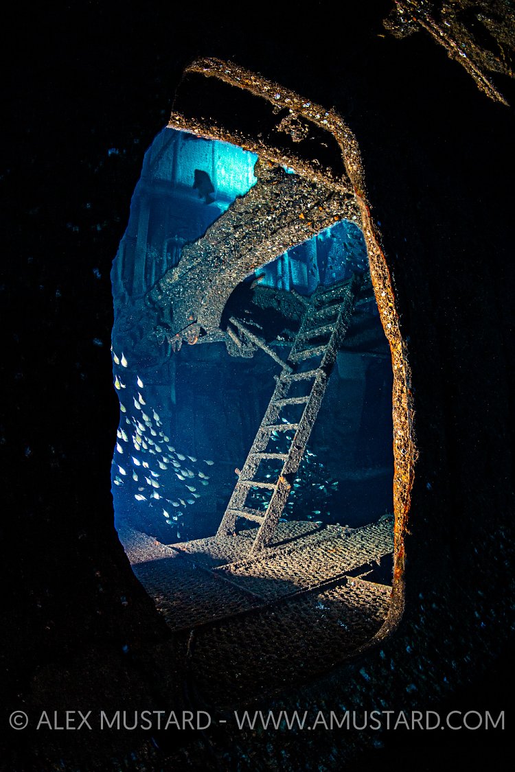 Giannis D Wreck Engine Room. Egypt