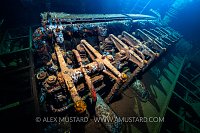 Giannis D Engine. Egypt