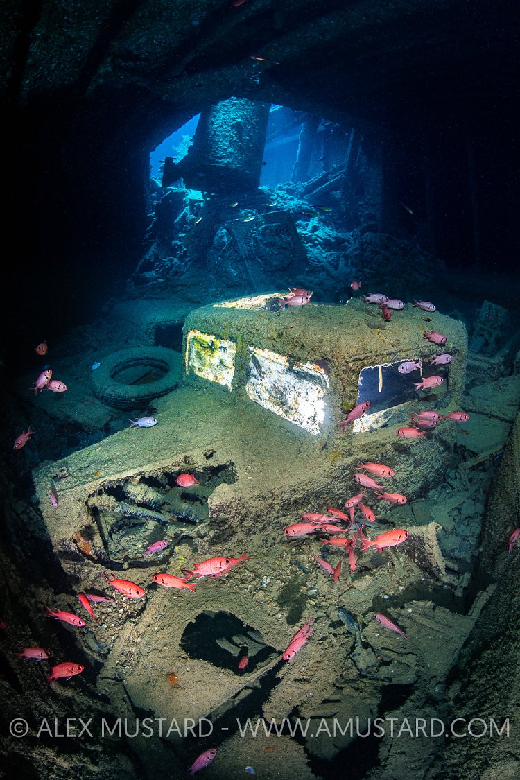 Fordson WOT3 Truck. Thistlegorm, Egypt