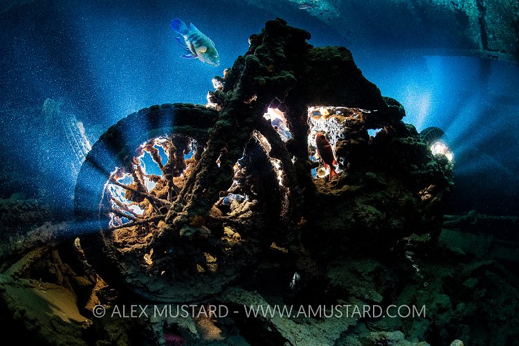 Motorbike In Thistlegorm Egypt