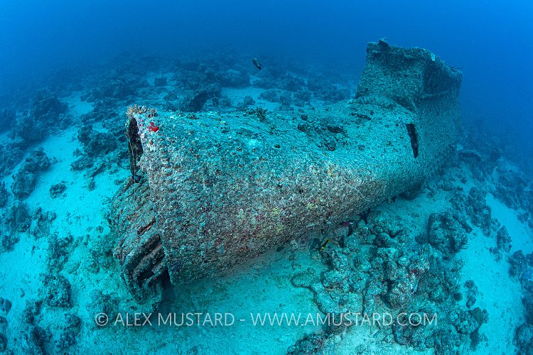 Locomotive Boiler, Thistlegorm, Egypt