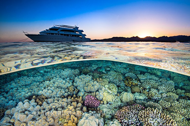 Liveaboard At Sunset. Egypt