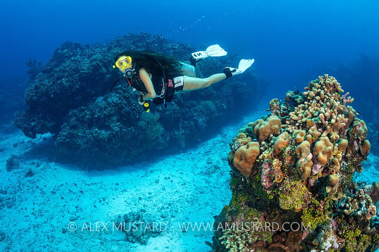 Diver On Coral Reef. Cayman Islands