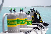 Preparing to Dive. Cayman Islands