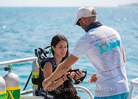 Preparing to Dive. Cayman Islands