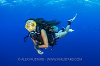Diver Underwater. Cayman Islands
