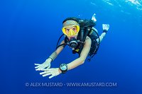 Diver Underwater. Cayman Islands